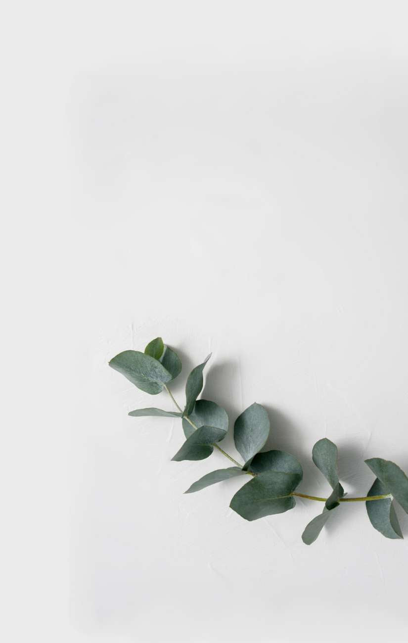 Mobile Banner