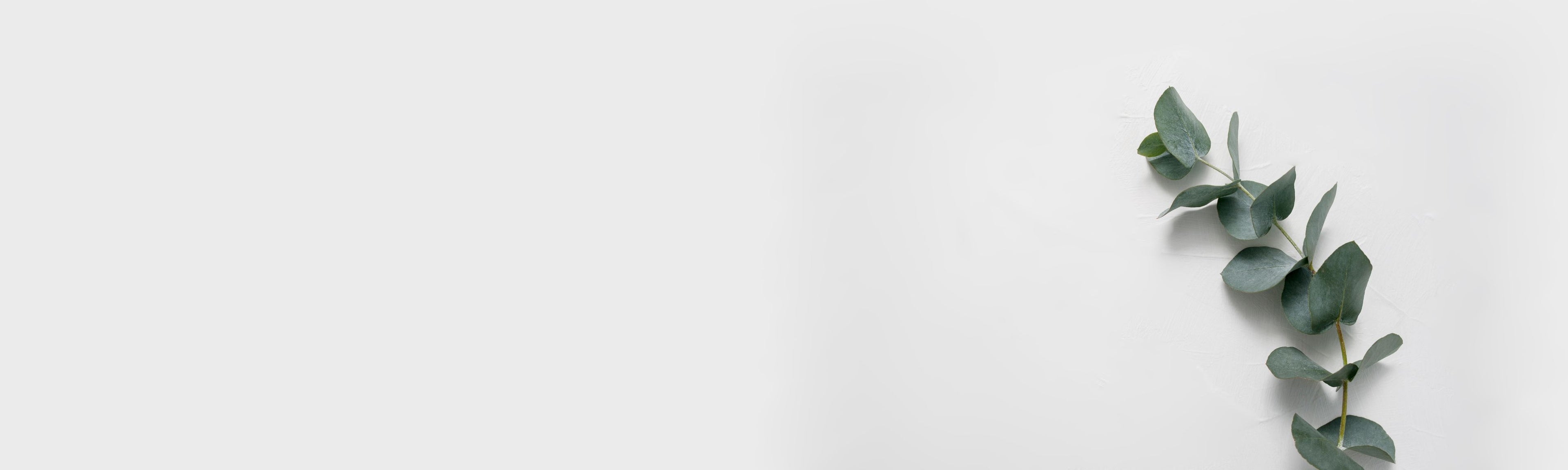 Desktop Banner