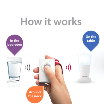 Push Button Notification System with Bridge Transceiver and Flash Receiver