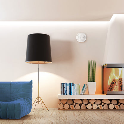 Carbon Monoxide Alarm Transmitter