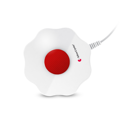 Smoke/Fire Alarm System with Flash Receiver, Bed Shaker, Bridge, and Watch Receiver