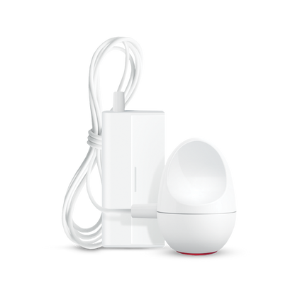 Phone System with Portable Receiver and Bed Shaker